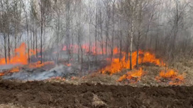 Югорские рыбаки сознались в поджоге сухой травы