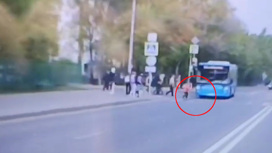 Водители сняли момент столкновения самокатчика с автобусом в Москве