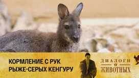 Ташкентский зоопарк Серия 16
