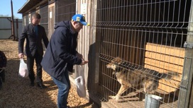 Активисты ЛДПР посетили приют для собак