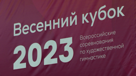 В Красноярске прошли всероссийские соревнования по художественной гимнастике