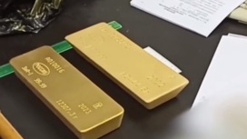Контрабандное золото изъяли в Домодедове сотрудники спецслужб