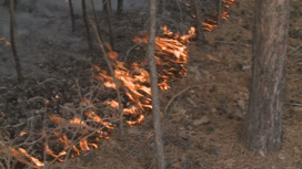 Лесной пожар ликвидирован в Акшинском районе