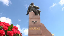 В Камышине отметили 107 лет со дня рождения Алексея Маресьева