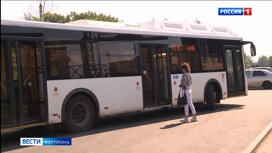 В Костроме озвучили стоимость проезда и варианты оплаты в общественном транспорте с 1 июля