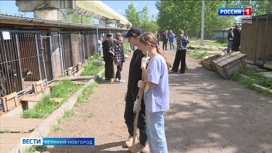 В Новгородской области прошли субботники в приютах для животных