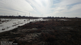 Под Астраханью из-за нечистот причинён ущерб почве на 2 млрд рублей
