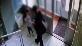 Москвич надругался над девочкой в подъезде многоэтажки