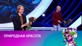 Кирилл Кветка, магистр цветов и растений