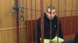 В Москве арестовали афериста, обманувшего пенсионерку на 800 тыс. рублей