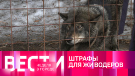 Эфир от 28.05.2023