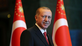 Эрдоган опередил Кылычдароглу на выборах и начал принимать поздравления
