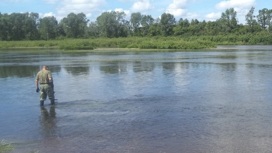 Жители Кузбасса утонули в скатившейся в реку машине