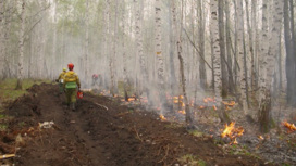 Площадь лесных пожаров на Урале за сутки удалось сократить почти в пять раз