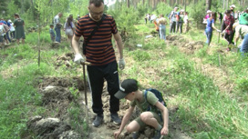 "Сад памяти" высадили уральцы в лесу под Березовским
