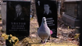 В Краснодаре отремонтируют Всесвятское кладбище