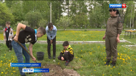 Жители Комсомольского района присоединились к акции "Сад Памяти"