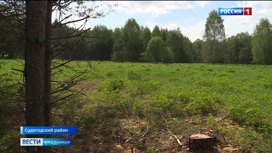 Во Владимирской области жители деревни выступают против размещения кладбища