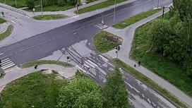 Бегущий по Петрозаводску медведь напугал пешехода и попал на видео