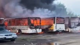 В подмосковном Ногинске вспыхнули десятки автобусов и легковушек