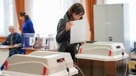Голосование по выборам мэра Москвы будет трехдневным