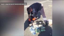 Жителя столицы задержали на тюменской трассе с 15 кг наркотиков