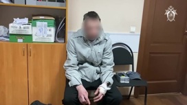 Двое мужчин расчленили убитую женщину в Новгородской области
