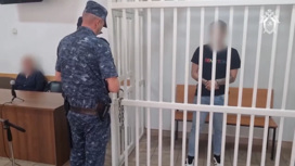 В Сочи в отношении мамы погибшей девочки и участкового возбуждены дела
