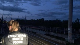 В Ленобласти ребенок погиб под колесами грузового поезда