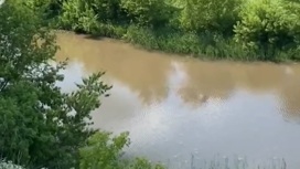 Воду реки Каменки в Суздале испортили грязевые потоки