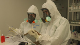 За прошедшую неделю  на Кубани выявили 174 случая коронавируса