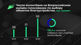 Россия в цифрах. Всероссийское онлайн-голосование за новые объекты благоустройства
