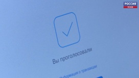 Во время осенних выборов онлайн-голосование будет доступно во всех 26 муниципалитетах региона