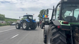 Молдавские фермеры протестуют против украинского зерна