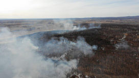 Гроза устроила природный пожар в Зейском округе