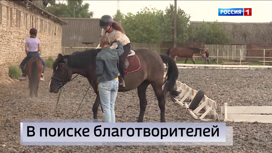 Эфир от 08.06.2023 (09:00)