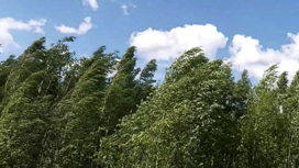 В Костромской области прогнозируется шквальный ветер