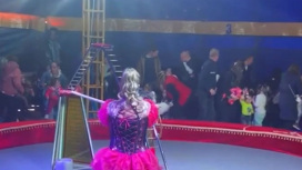 В цирке во время представления обрушились трибуны со зрителями