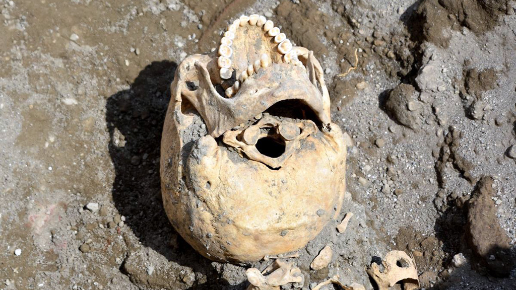 Череп, (возможно) принадлежавший раздавленному мужчине. Фото: Archaeological site of Pompeii / Facebook