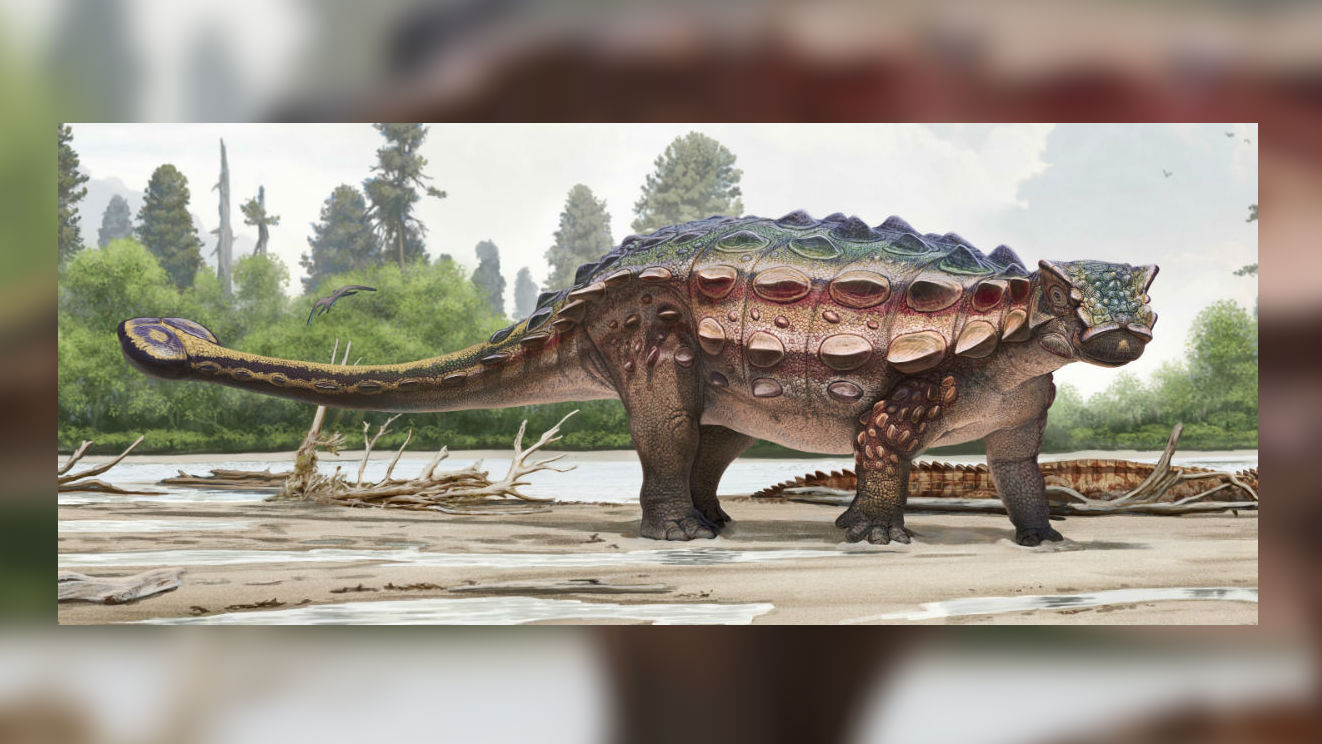 Художественное изображение нового динозавра.