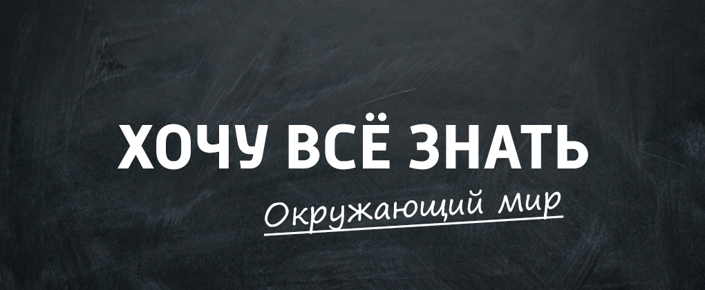ХВЗ. Окружающий мир ХВЗ. Окружающий мир