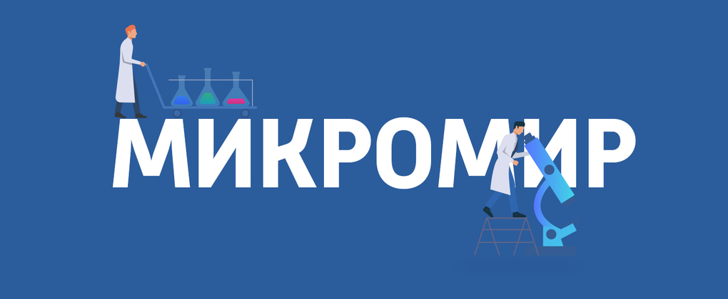 Микромир Микромир