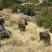 Ведущий автор исследования Ализа лё Руа ведёт наблюдение за несколькими геладами 