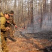 В России потушили все лесные пожары