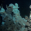 В глубине океана найдены микробы-родственники сложных форм жизни