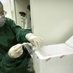 "Дело ГМ-близнецов": китайский учёный заявил о рождении первых в мире детей с исправленной ДНК