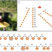 (a) установленные кормушки; (b) птица, проверяющая содержимое  кормушки; (c) варианты расположения рядов кормушек; (d) расстояния между соседними кормушками в двух фазах эксперимента.