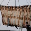 Спасение из китовой тюрьмы: зоозащитники рассказали подробности операции