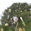 Новогодняя елка в Сыктывкаре попала в топ-5 самых высоких в России