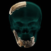Компьютерная реконструкция черепа человека из Нешер Рамла.